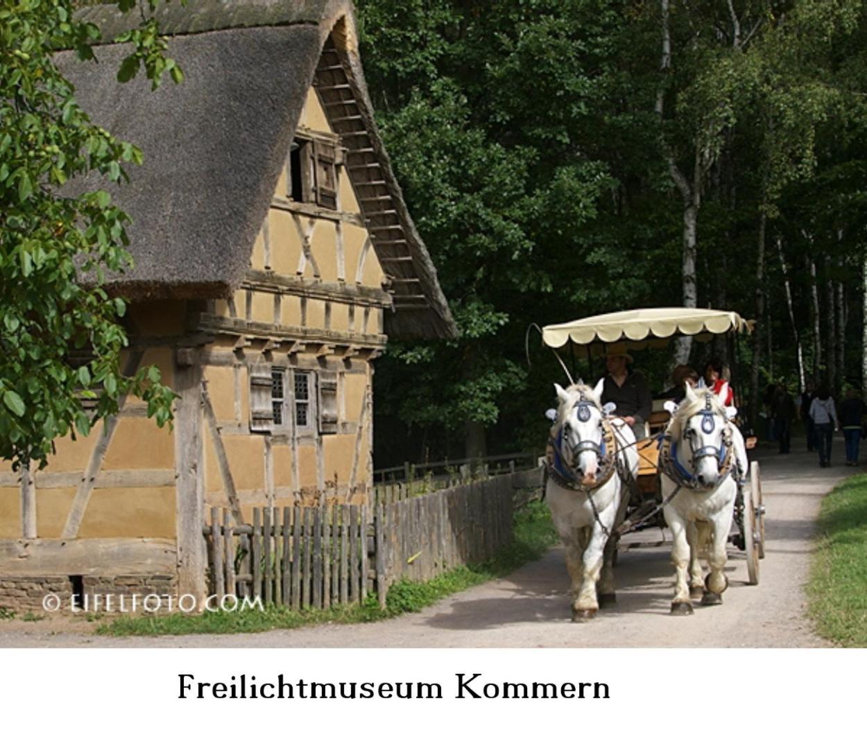 Gross A * Schleiden