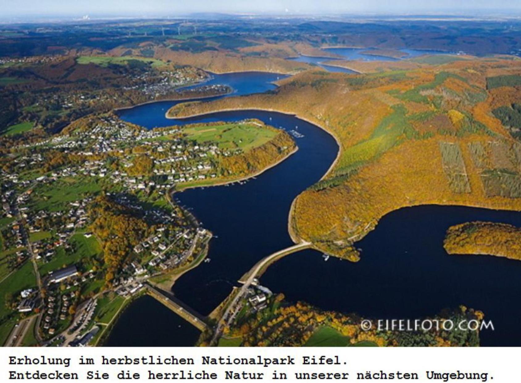 Gross A * Schleiden