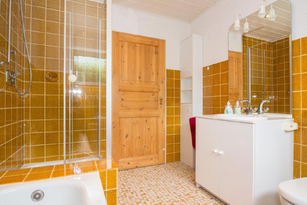 Gross A Apartment Schleiden